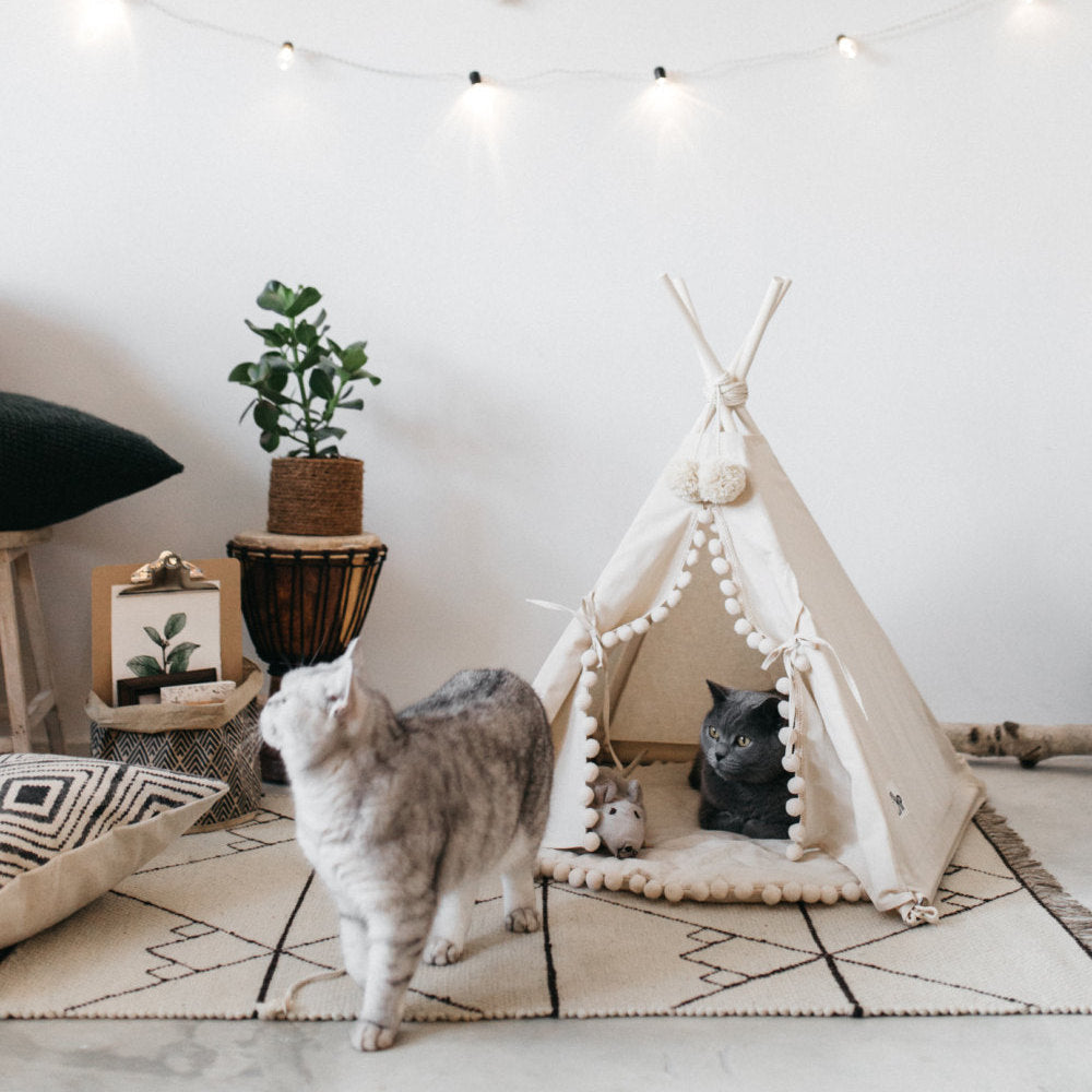 Cozy Cat & Dog Tent Bed