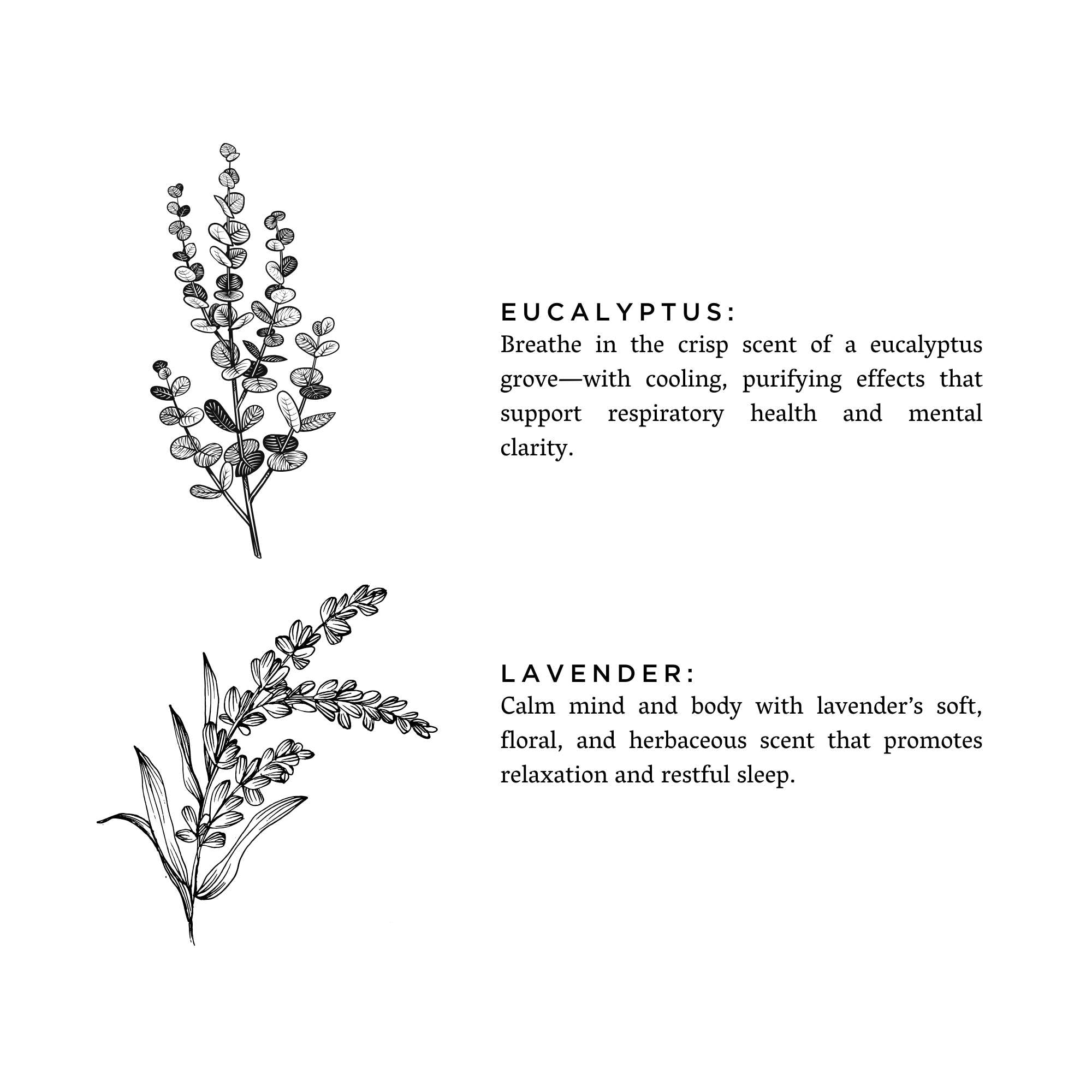 Eucalyptus + Lavender Non-Toxic Candle - Mother's Day Gift