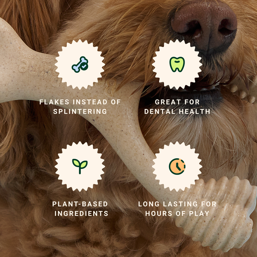 BetterBone Small Chew Toy