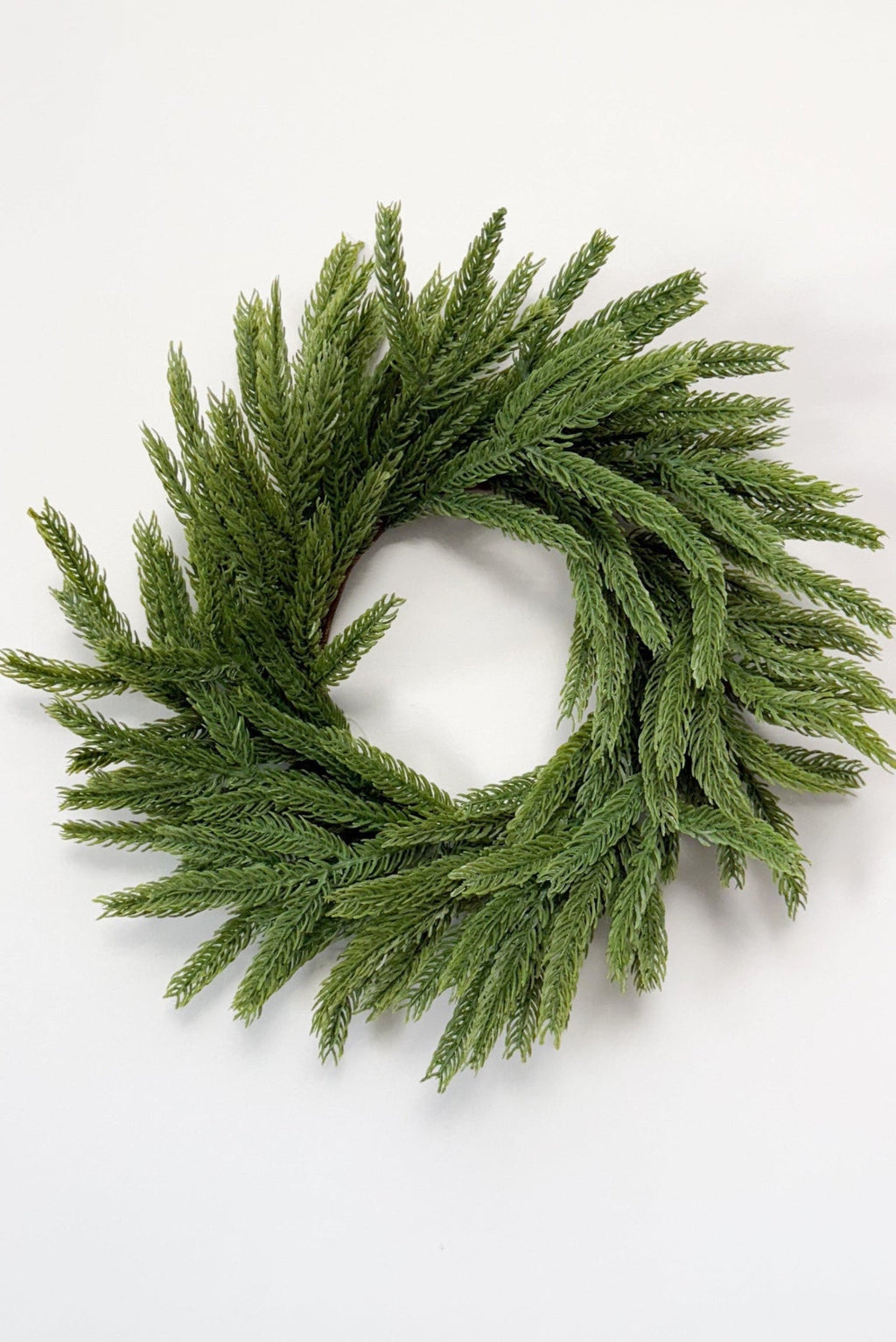 12" Norfolk Pine Mini Wreath
