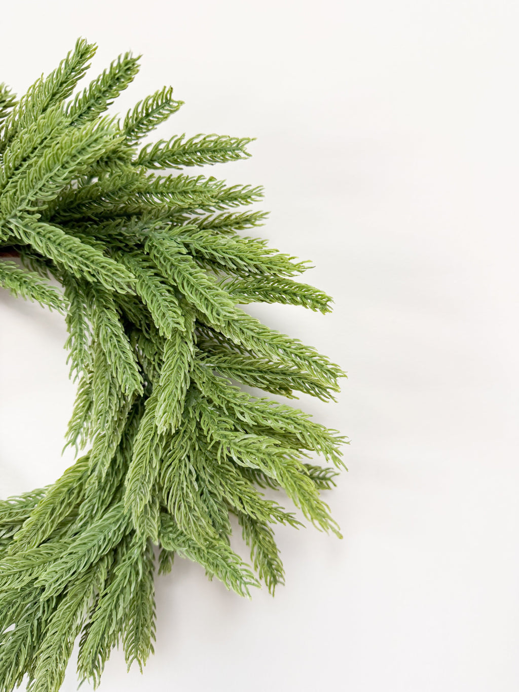 12" Norfolk Pine Mini Wreath