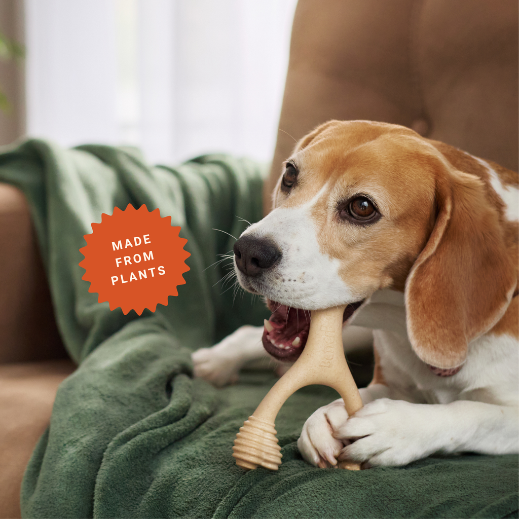 BetterBone Small Chew Toy