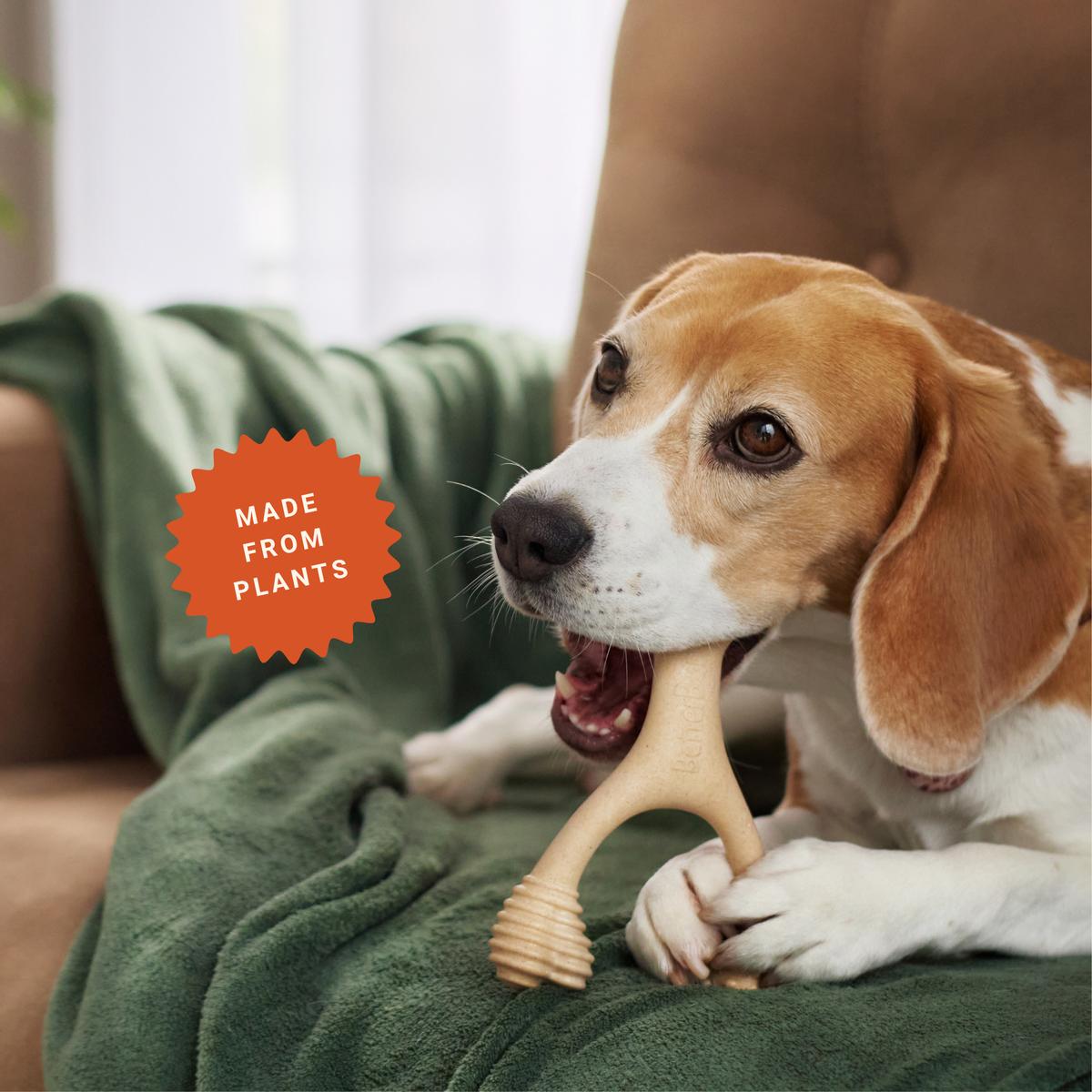 BetterBone Small Chew Toy