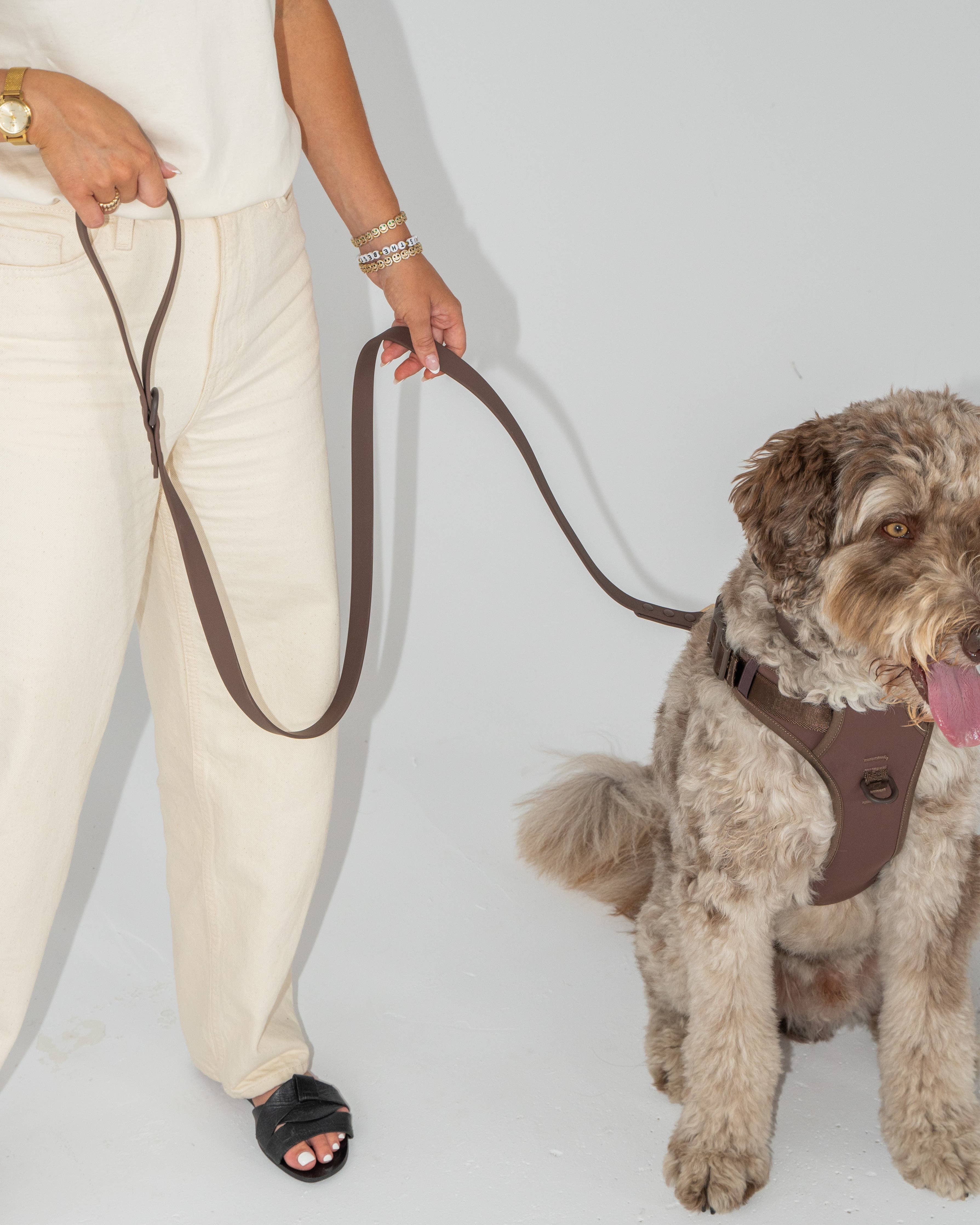 Waterproof Dog Leash in Espresso